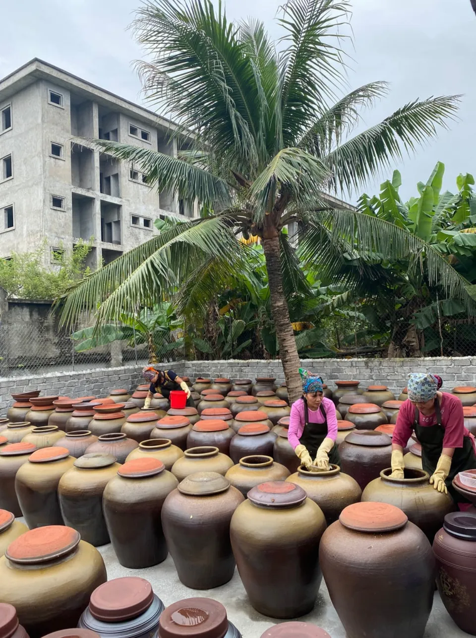 Sân chum sành ủ chanh