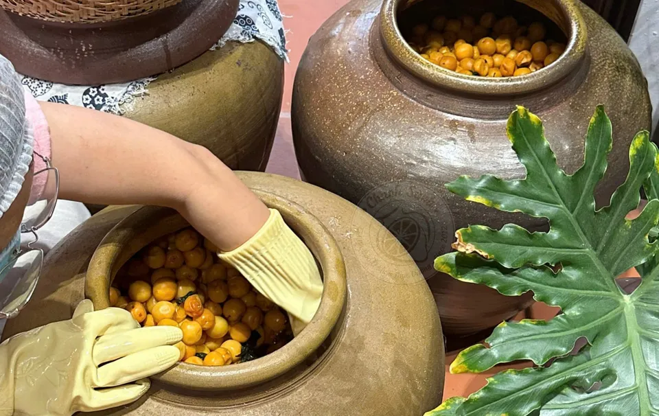 Mơ ủ muối trong chum sành